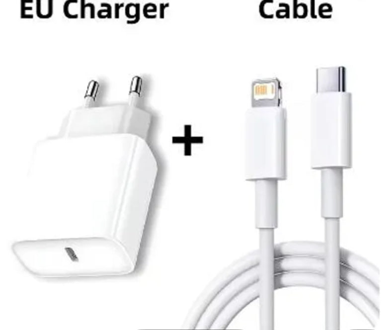 Fast charger